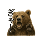 【叫ぶ！】リアルすぎるクマさんの絶叫LINE（個別スタンプ：6）