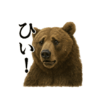 【叫ぶ！】リアルすぎるクマさんの絶叫LINE（個別スタンプ：8）