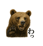 【叫ぶ！】リアルすぎるクマさんの絶叫LINE（個別スタンプ：13）