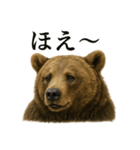 【叫ぶ！】リアルすぎるクマさんの絶叫LINE（個別スタンプ：14）