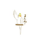カワイインコ〜オカメインコ〜（個別スタンプ：2）