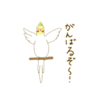 カワイインコ〜オカメインコ〜（個別スタンプ：7）