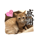 いろは2025（個別スタンプ：3）