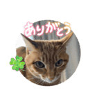 いろは2025（個別スタンプ：5）