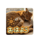 いろは2025（個別スタンプ：6）