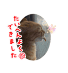 いろは2025（個別スタンプ：7）