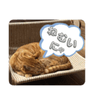 いろは2025（個別スタンプ：10）