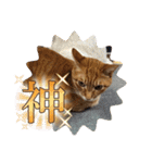 いろは2025（個別スタンプ：14）