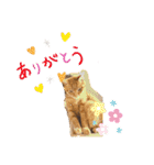 いろは2025（個別スタンプ：16）