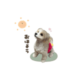 しおんちゃん♥スタンダード（個別スタンプ：9）
