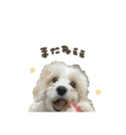 しおんちゃん♥スタンダード（個別スタンプ：11）
