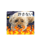 動くかわいいジェ1修正（個別スタンプ：6）