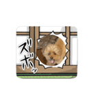 動くかわいいジェ1修正（個別スタンプ：7）