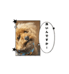 動くかわいいジェ1修正（個別スタンプ：8）