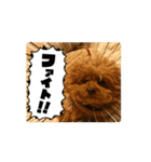 動くかわいいジェ1修正（個別スタンプ：9）