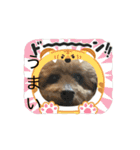 動くかわいいジェ1修正（個別スタンプ：11）