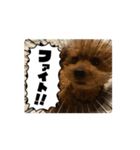 動くかわいいジェ1修正（個別スタンプ：13）