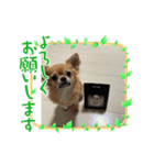 ちくわの1日（個別スタンプ：2）