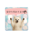 登校班グループで使えるポメスタンプ（個別スタンプ：7）