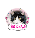 クロちゃんシロちゃん3️⃣（個別スタンプ：4）