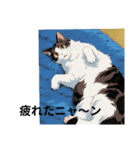 クロちゃんシロちゃん3️⃣（個別スタンプ：8）