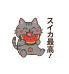 夏のサバニャンスタンプ（個別スタンプ：1）