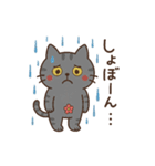 夏のサバニャンスタンプ（個別スタンプ：6）