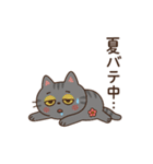 夏のサバニャンスタンプ（個別スタンプ：12）