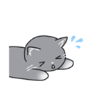 かわいい猫たちと使いやすいフレーズ（個別スタンプ：11）