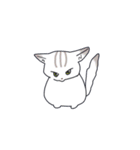 かわいい猫たちと使いやすいフレーズ（個別スタンプ：14）