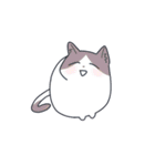 かわいい猫たちと使いやすいフレーズ（個別スタンプ：17）
