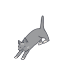 かわいい猫たちと使いやすいフレーズ（個別スタンプ：19）
