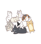 かわいい猫たちと使いやすいフレーズ（個別スタンプ：31）