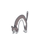 かわいい猫たちと使いやすいフレーズ（個別スタンプ：32）