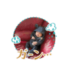 あきちゃんが生まれた日（個別スタンプ：2）