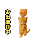 ❤︎あかにゃん❤︎茶虎,,,,,,（個別スタンプ：1）