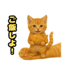 ❤︎あかにゃん❤︎茶虎,,,,,,（個別スタンプ：3）