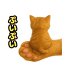 ❤︎あかにゃん❤︎茶虎,,,,,,（個別スタンプ：5）