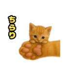 ❤︎あかにゃん❤︎茶虎,,,,,,（個別スタンプ：7）