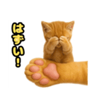 ❤︎あかにゃん❤︎茶虎,,,,,,（個別スタンプ：8）