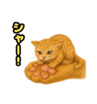 ❤︎あかにゃん❤︎茶虎,,,,,,（個別スタンプ：9）