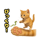 ❤︎あかにゃん❤︎茶虎,,,,,,（個別スタンプ：10）