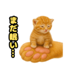 ❤︎あかにゃん❤︎茶虎,,,,,,（個別スタンプ：11）