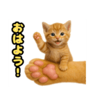 ❤︎あかにゃん❤︎茶虎,,,,,,（個別スタンプ：12）