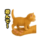 ❤︎あかにゃん❤︎茶虎,,,,,,（個別スタンプ：13）