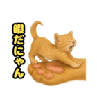 ❤︎あかにゃん❤︎茶虎,,,,,,（個別スタンプ：14）