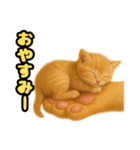 ❤︎あかにゃん❤︎茶虎,,,,,,（個別スタンプ：16）
