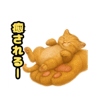 ❤︎あかにゃん❤︎茶虎,,,,,,（個別スタンプ：19）