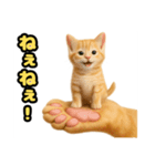 ❤︎あかにゃん❤︎茶虎,,,,,,（個別スタンプ：20）