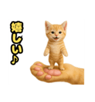 ❤︎あかにゃん❤︎茶虎,,,,,,（個別スタンプ：21）